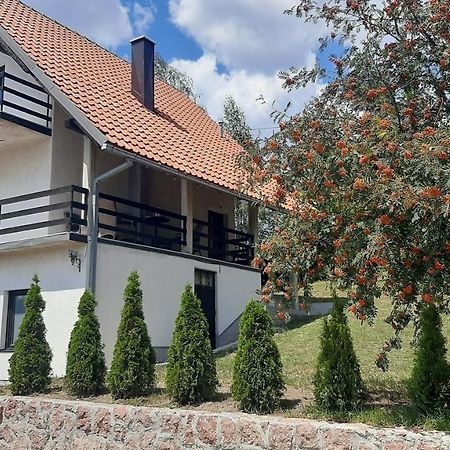 Villa Kuca Sa Pogledom Na Tornik à Zlatibor Extérieur photo