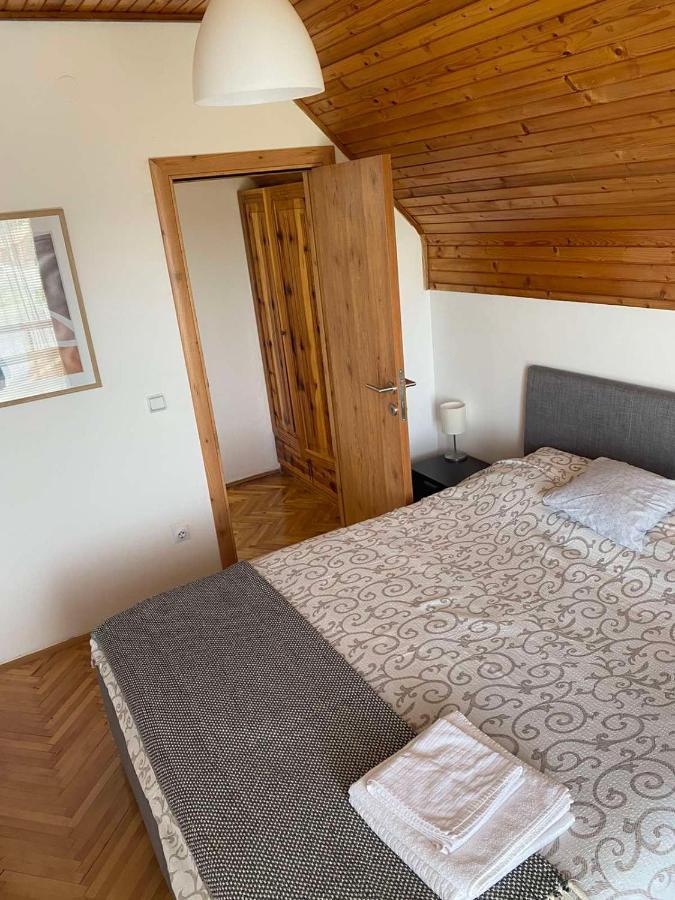 Villa Kuca Sa Pogledom Na Tornik à Zlatibor Extérieur photo